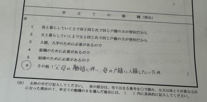 申立の理由記入欄
