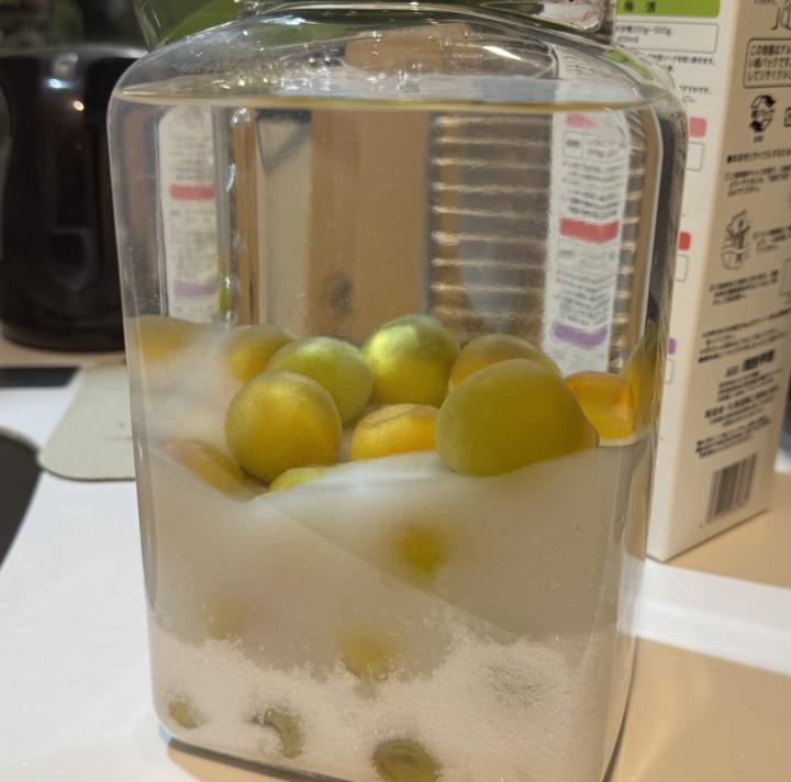 酒を入れた後の状態